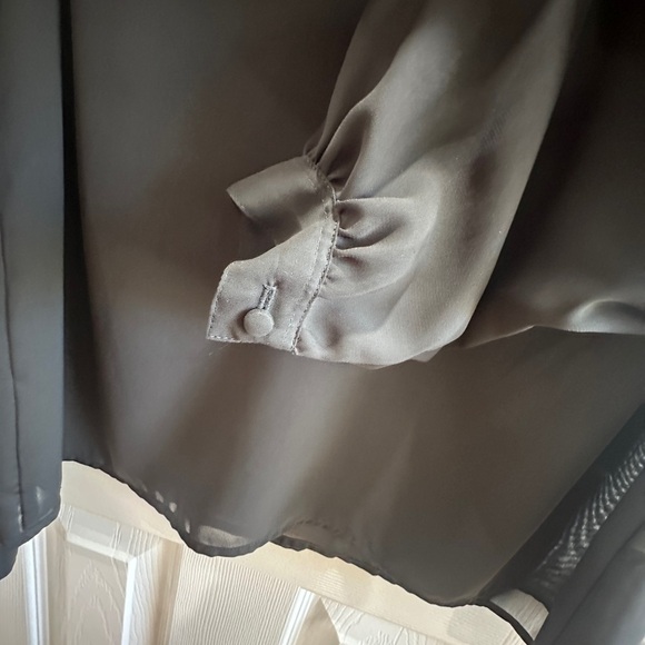 Linea V Elegant Black Sheer Blouse - Picture 4 of 9